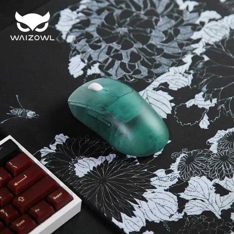 Mysz bezprzewodowa Waizowl OGM – Laptop Electronics Accessories recenzja i cena